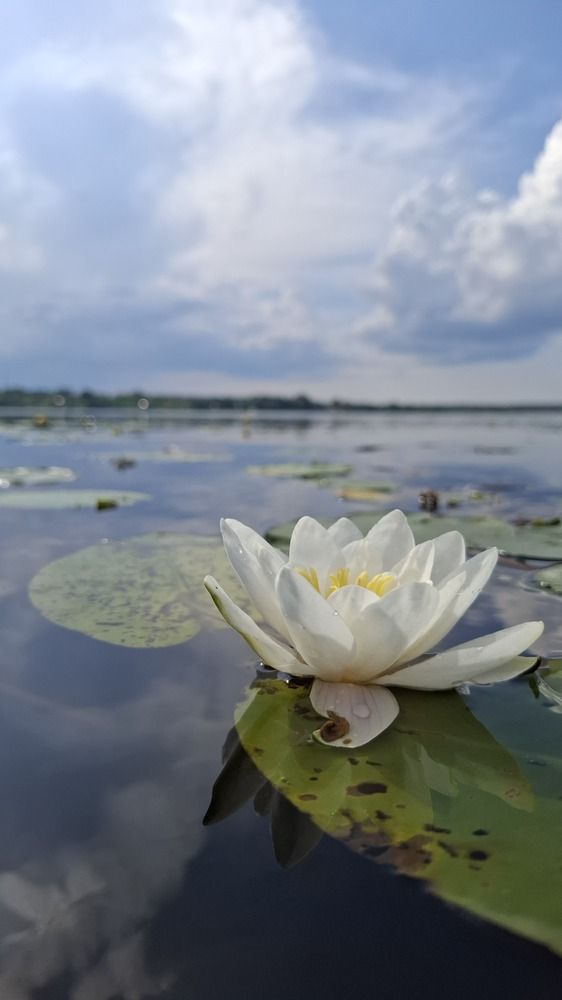 Photograph by Ирина