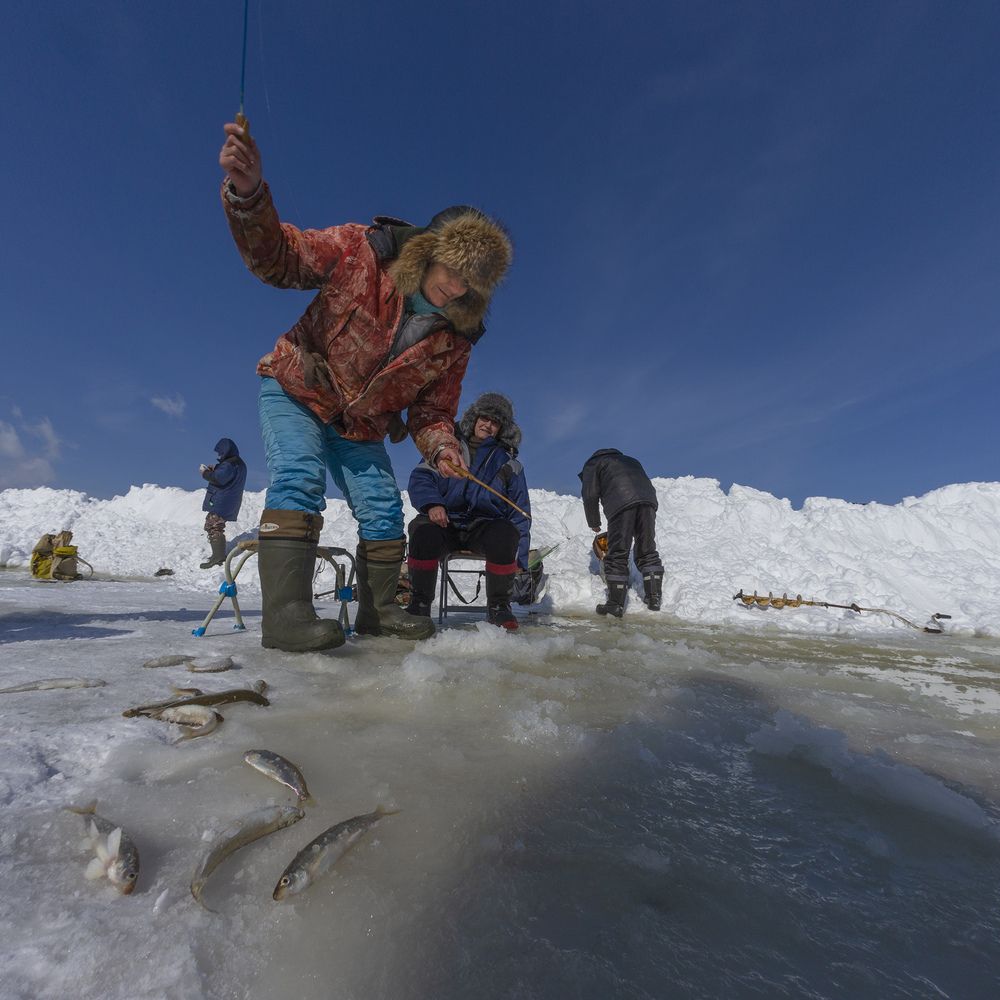 Фотография автора Анатолий Макоедов