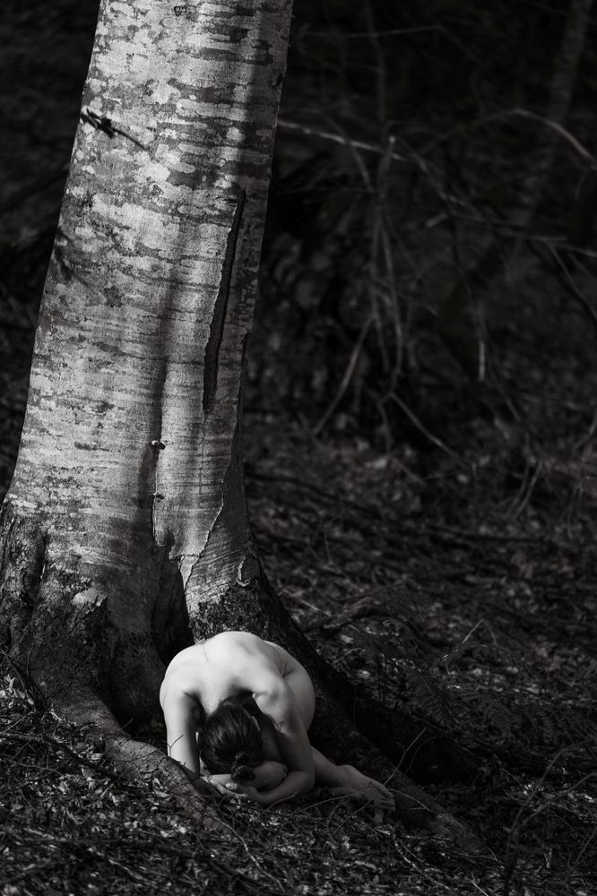 Photograph by Antonyan Razmik