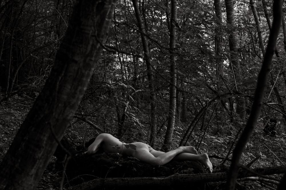 Photograph by Antonyan Razmik