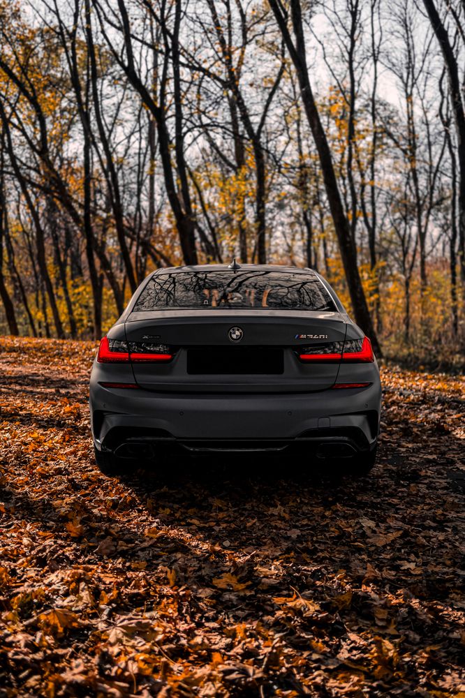 Фотография автора Никита Сагунов