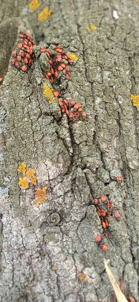 Photograph by Валерия Сопова