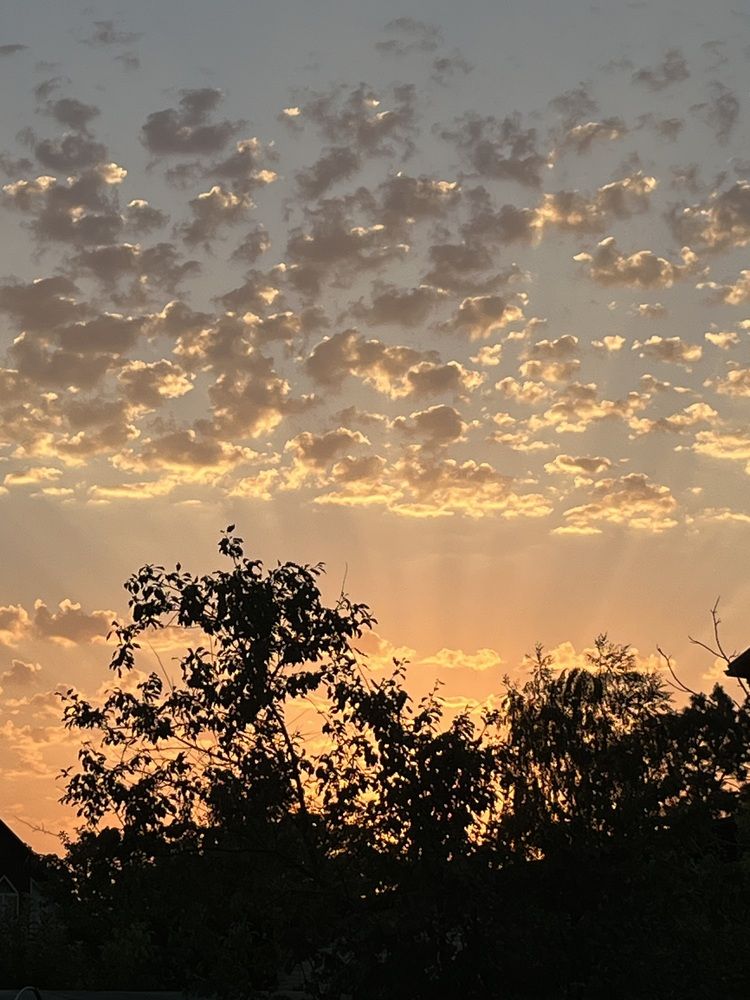 Photograph by Erika Osipova