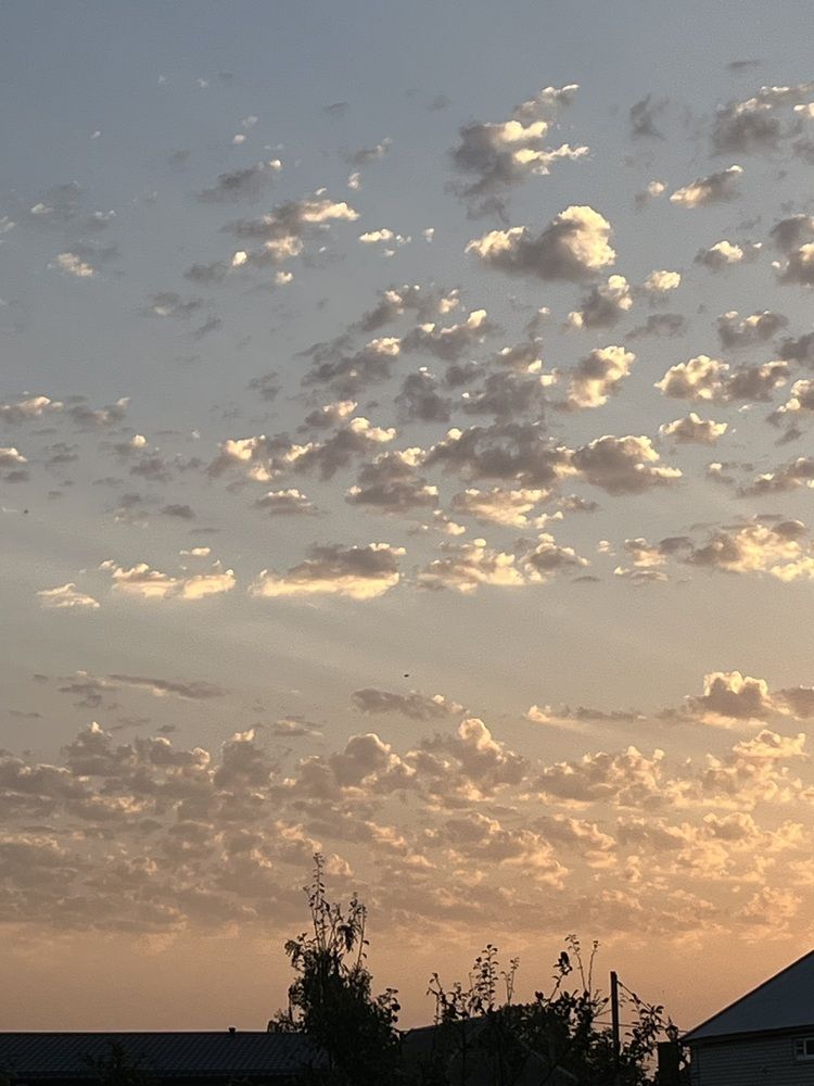 Photograph by Erika Osipova