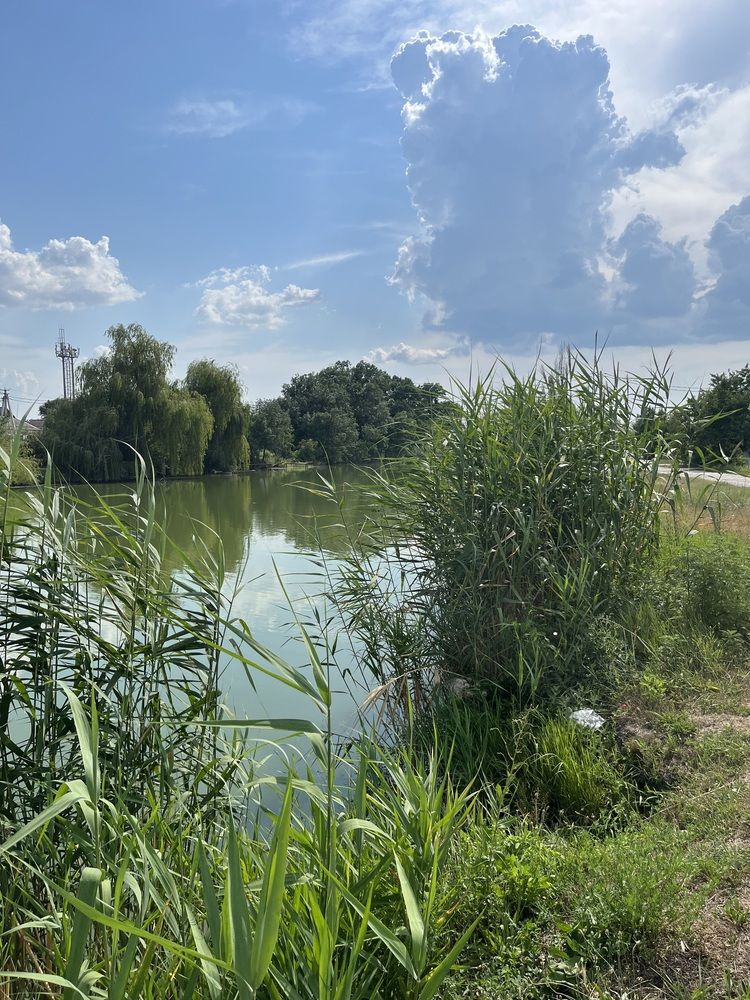 Photograph by Erika Osipova