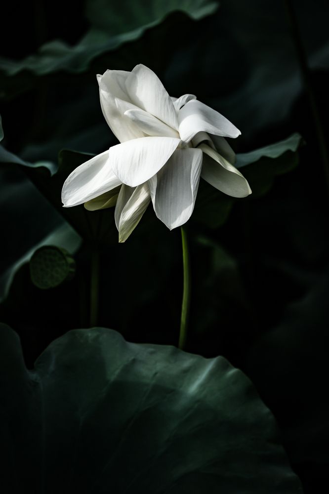 Фотография автора mak takano