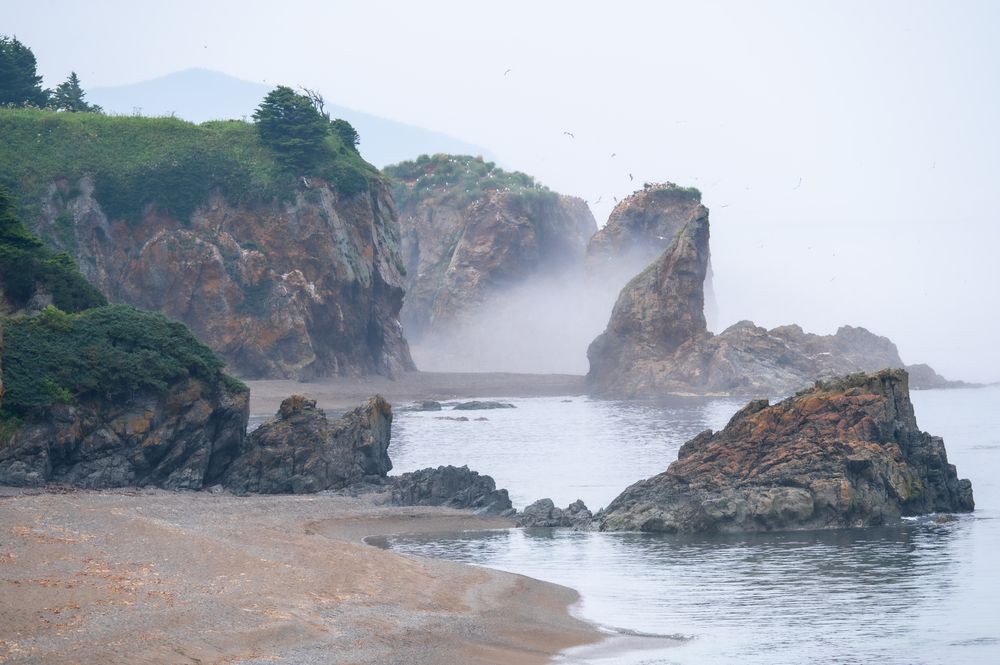 Photograph by Василиса Ногина