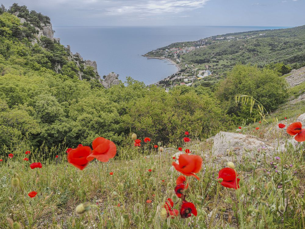 Photograph by Ignatov Yury