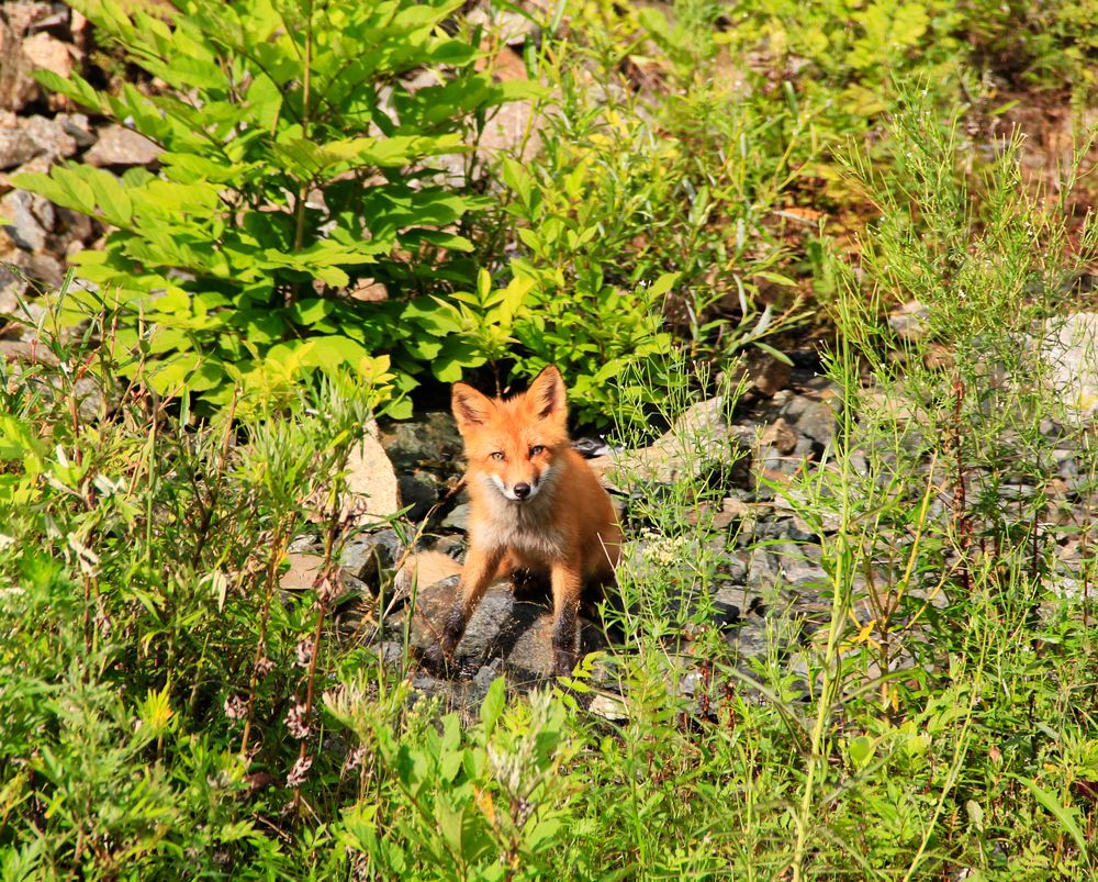 Фотография автора Наталия Мащенко