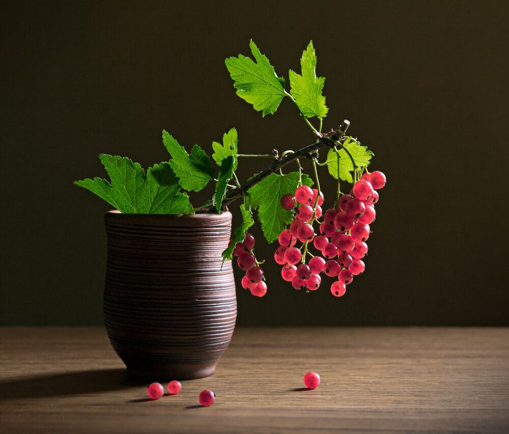 Photograph by Вера Лопатина