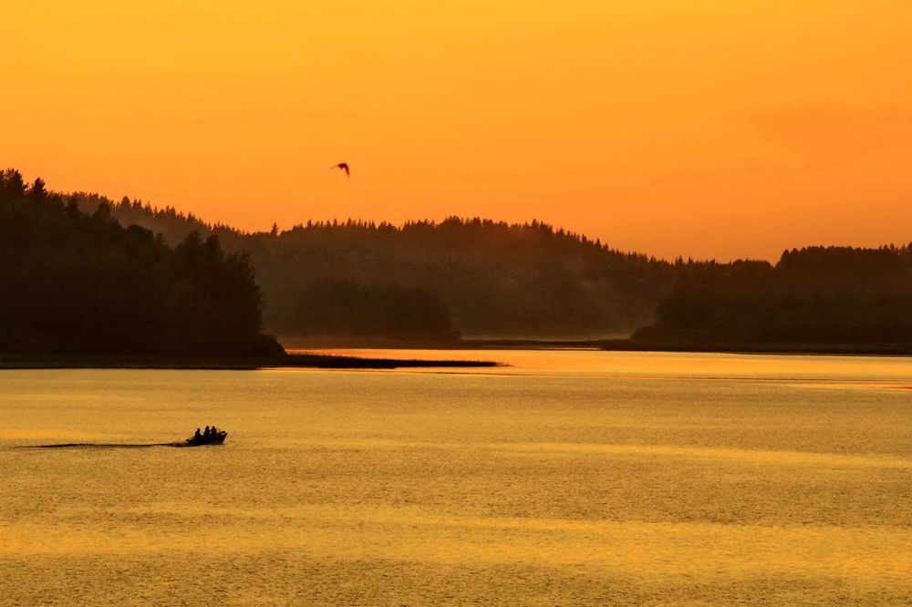 Photograph by Станислав Староверов