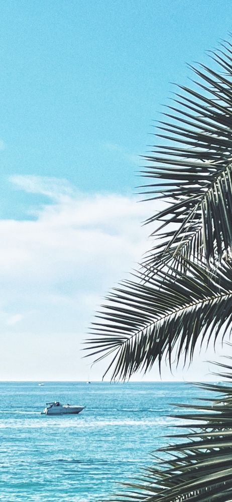 Photograph by Светлана Моисеева