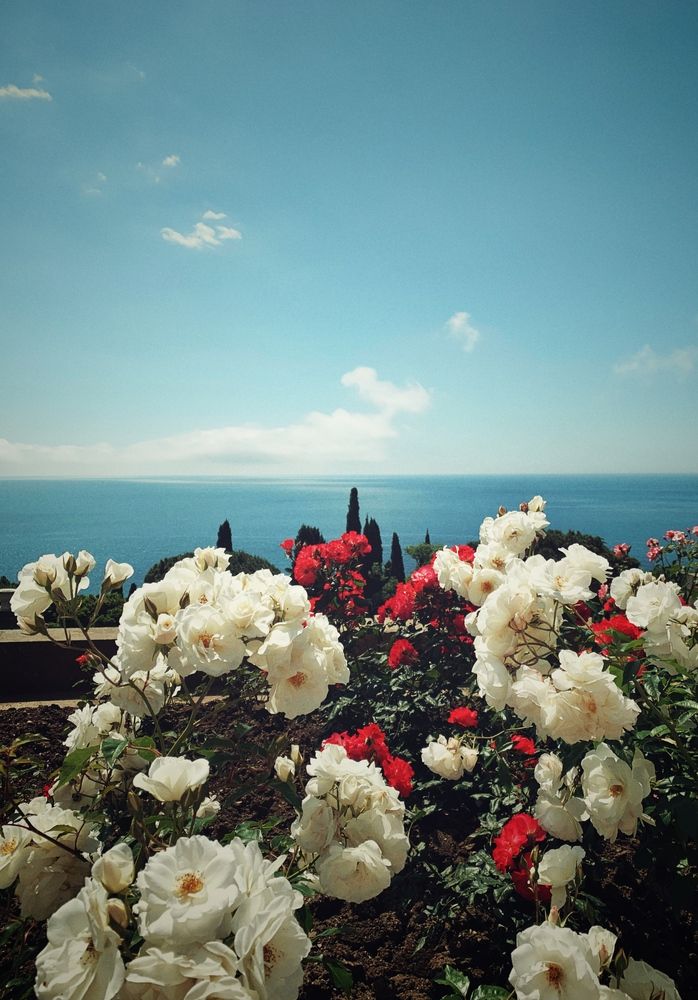 Photograph by Светлана Моисеева