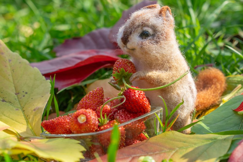 Photograph by Дмитрий Анисимов