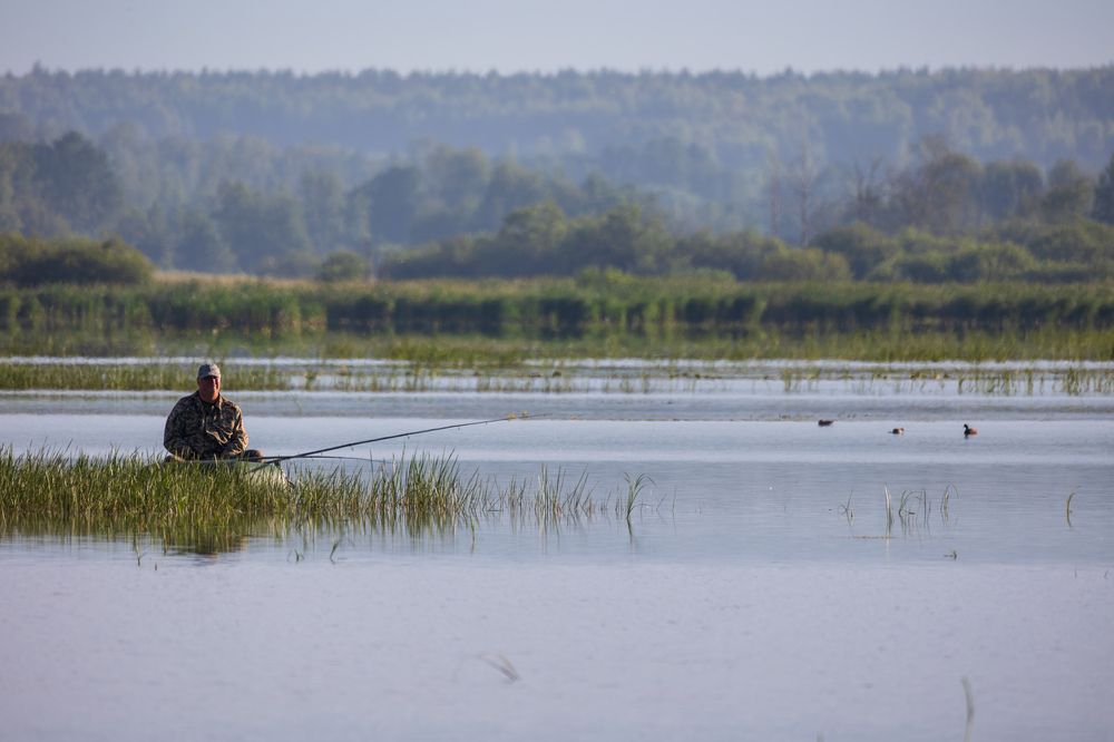Photograph by Владимир Никоноров