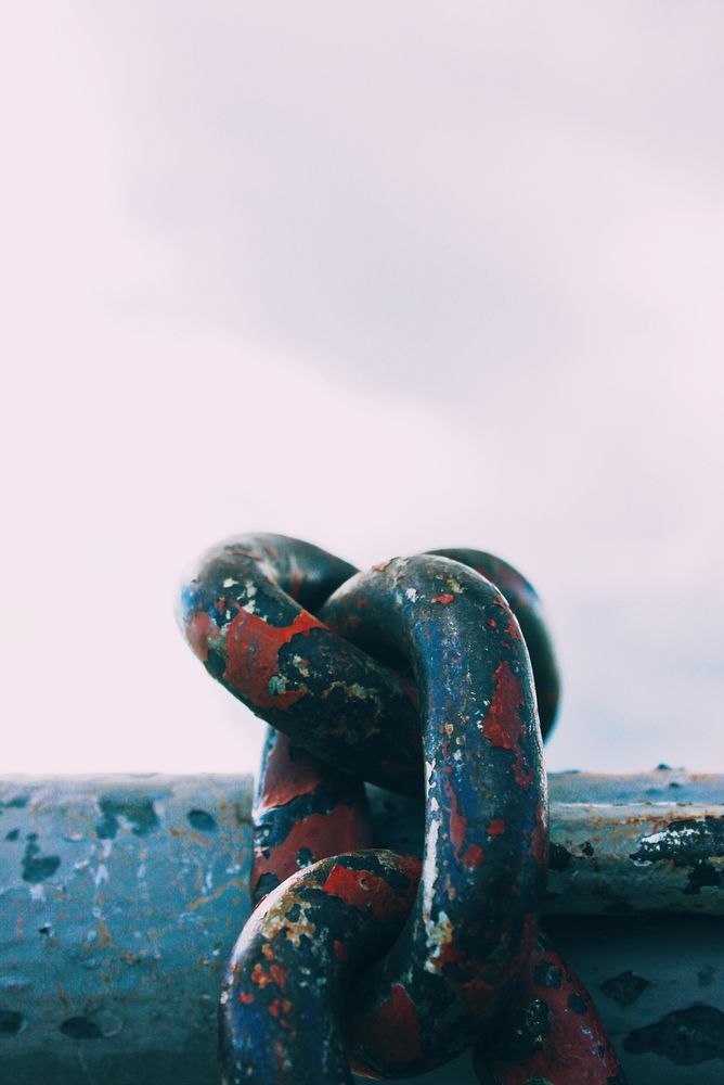 Photograph by Дарья