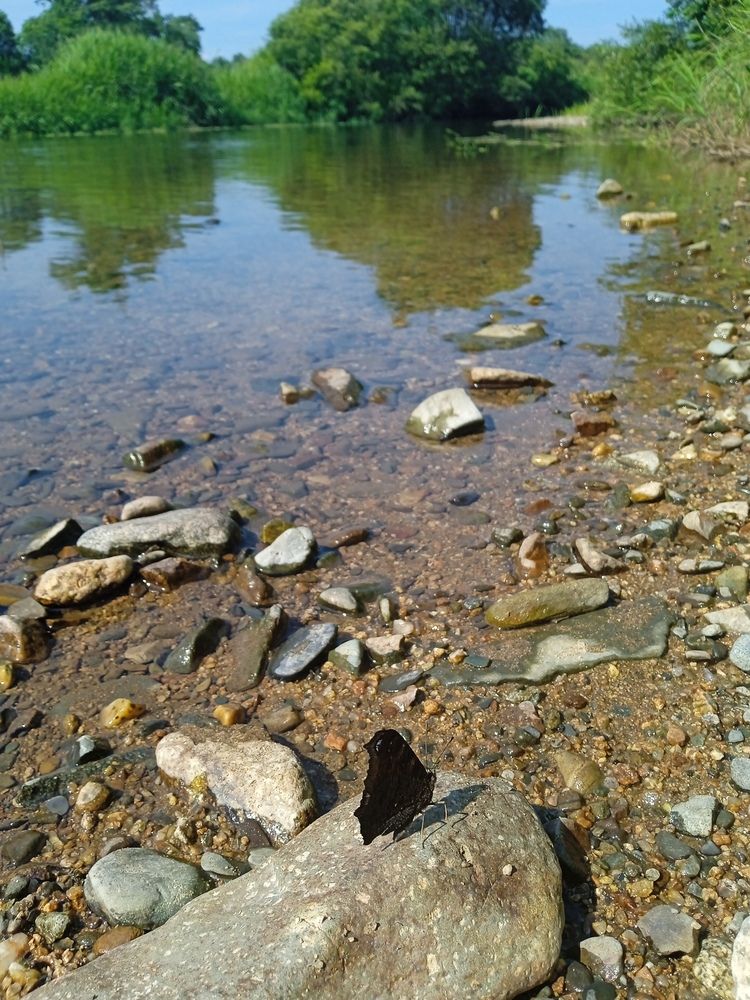 Photograph by Екатерина Степанова
