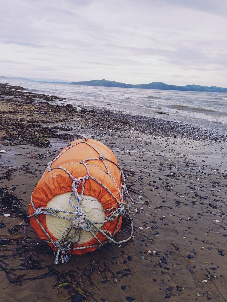 Photograph by Екатерина Степанова