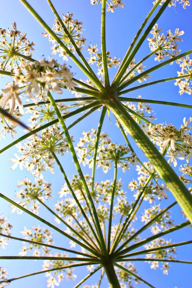 Photograph by Дарья