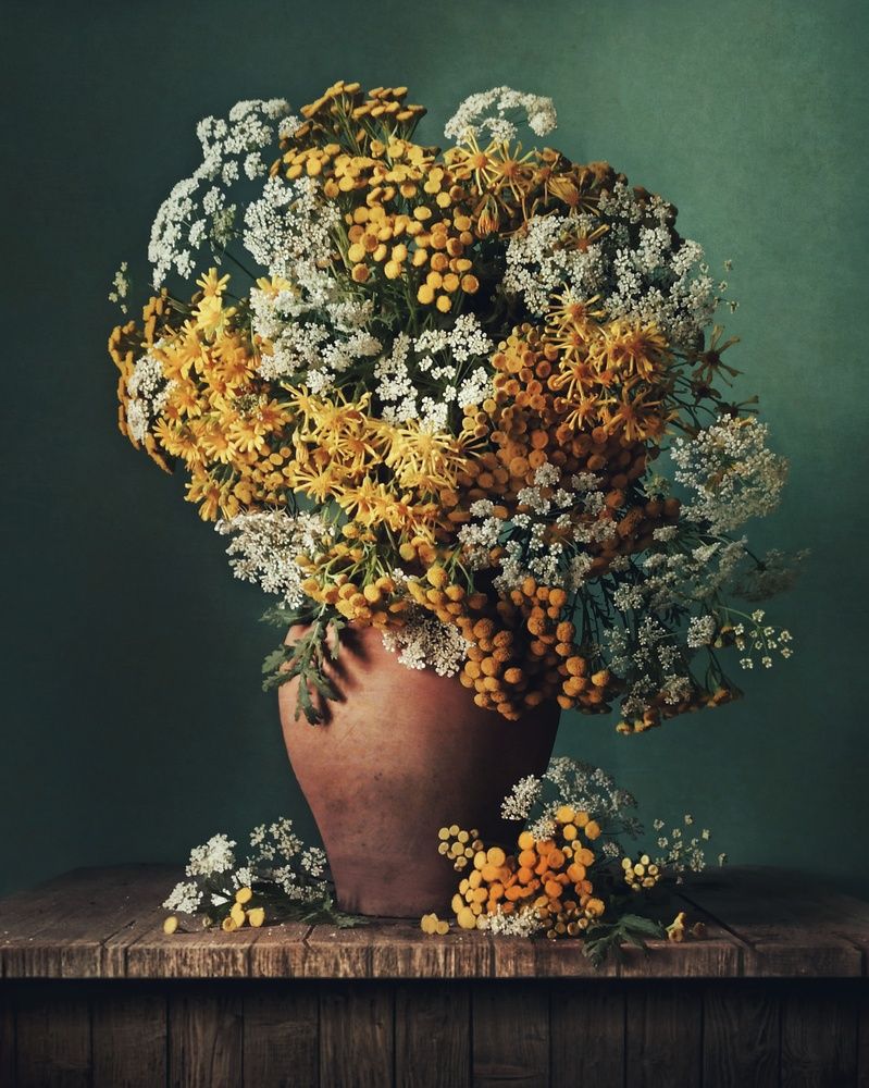 Photograph by Elena Novikova