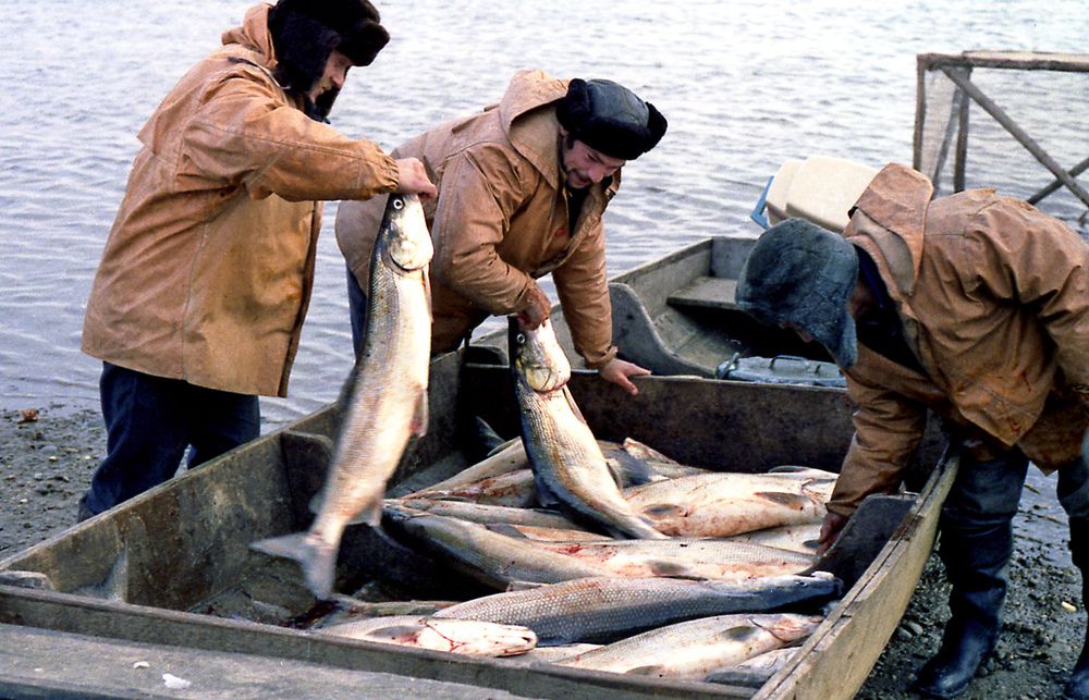 Photograph by Георгий Волков