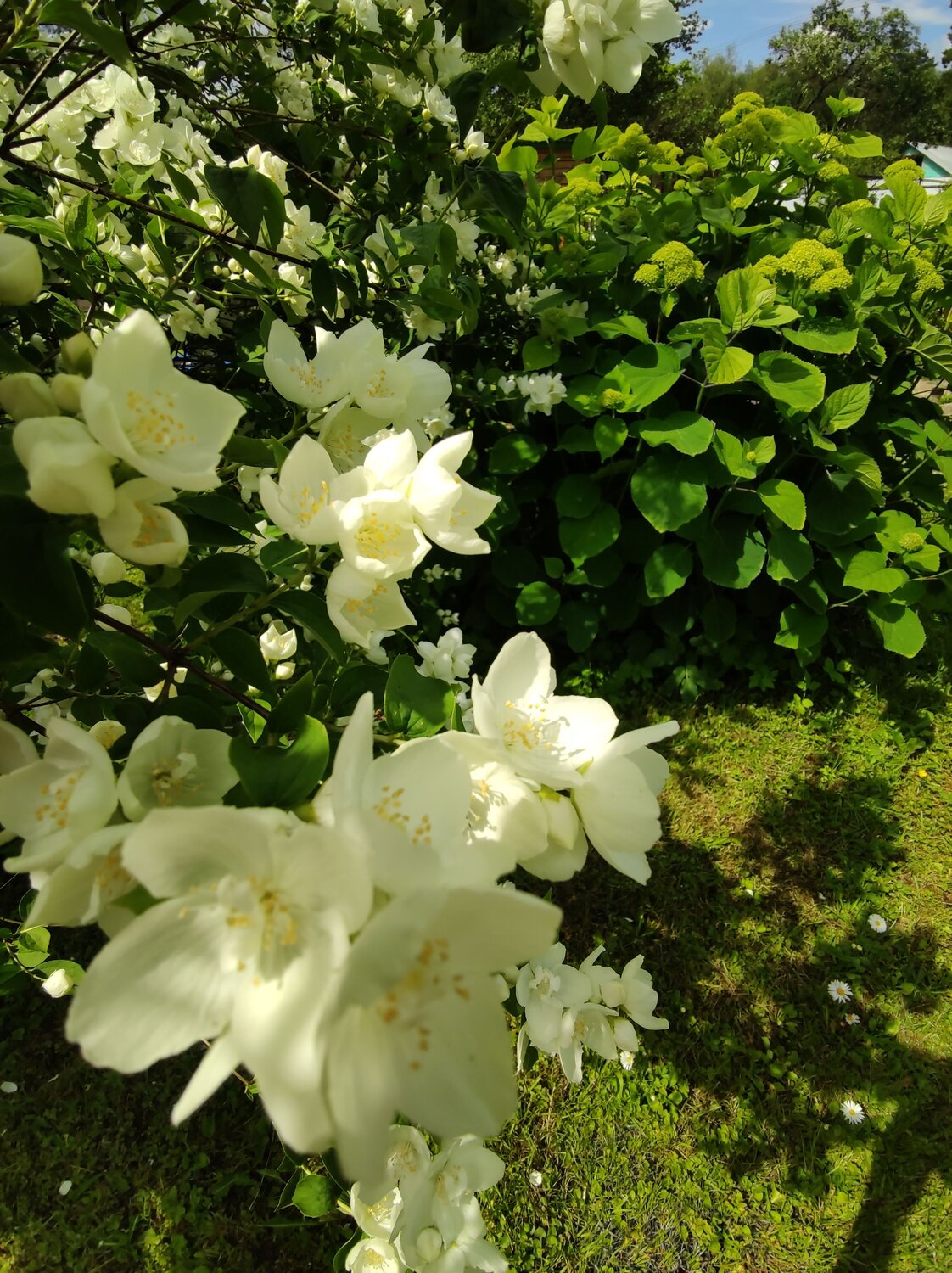 Photo #12397987