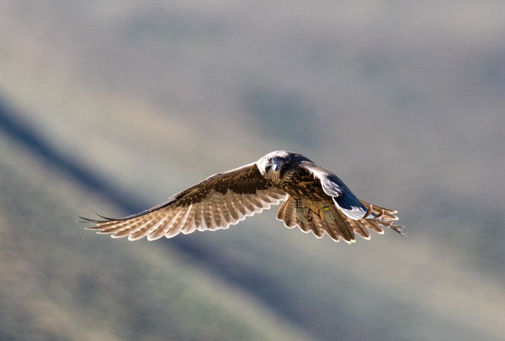 Photograph by Svetlana Porokhovnikova