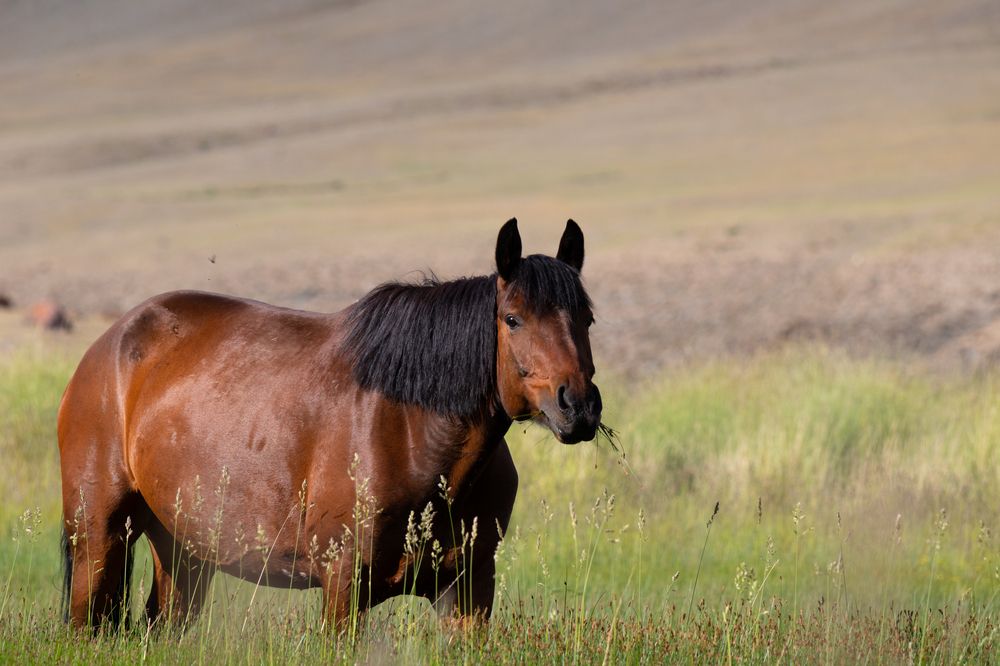 Photograph by Svetlana Porokhovnikova