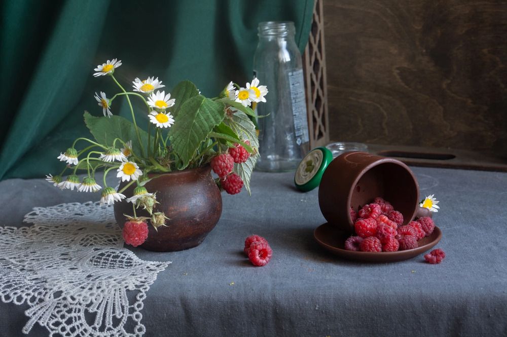 Photograph by Елена Плотникова