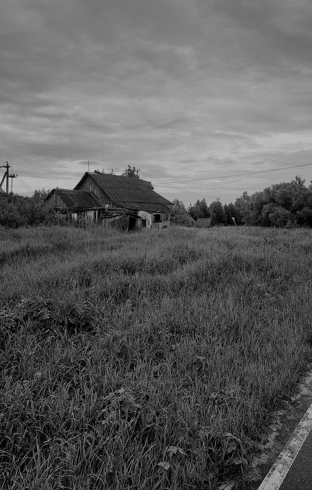 Photo #12398233