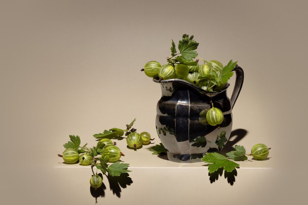 Photograph by Елена Овчинникова