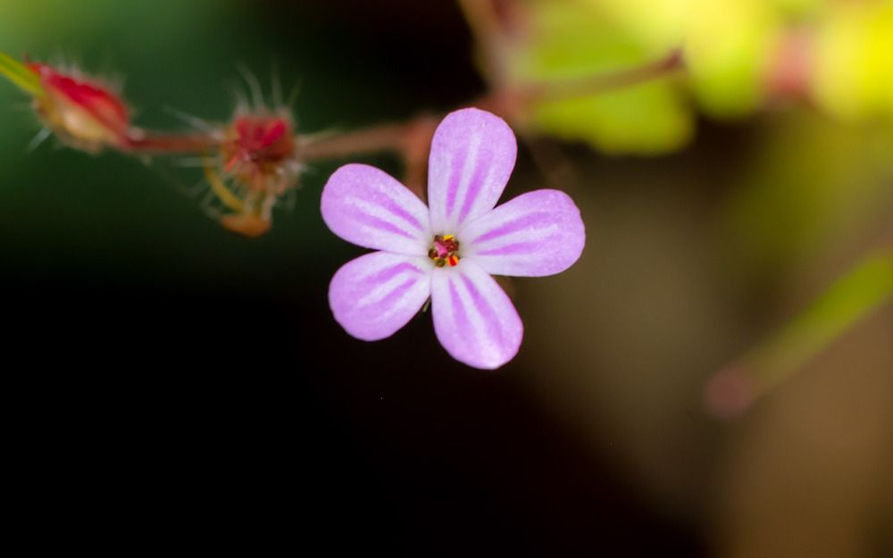 Photograph by Jagannath Madduri