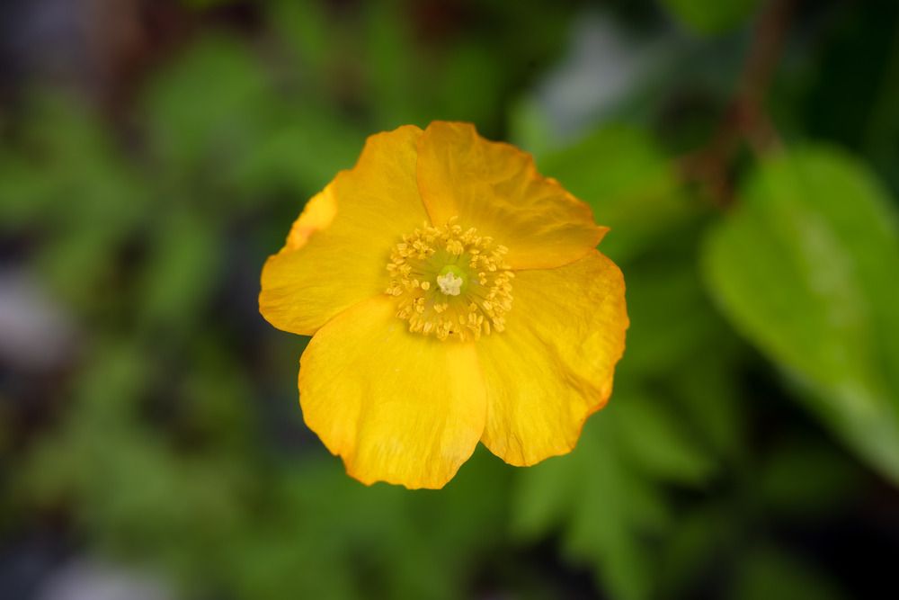 Photograph by Jagannath Madduri