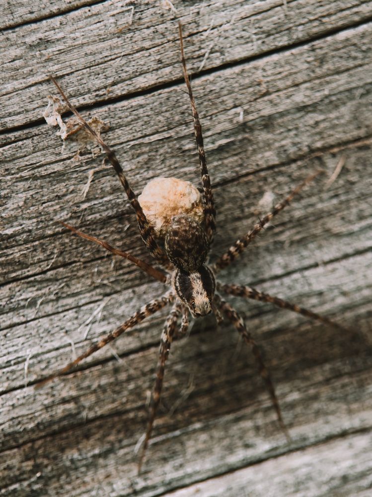 Фотография автора Анна Рыжикова
