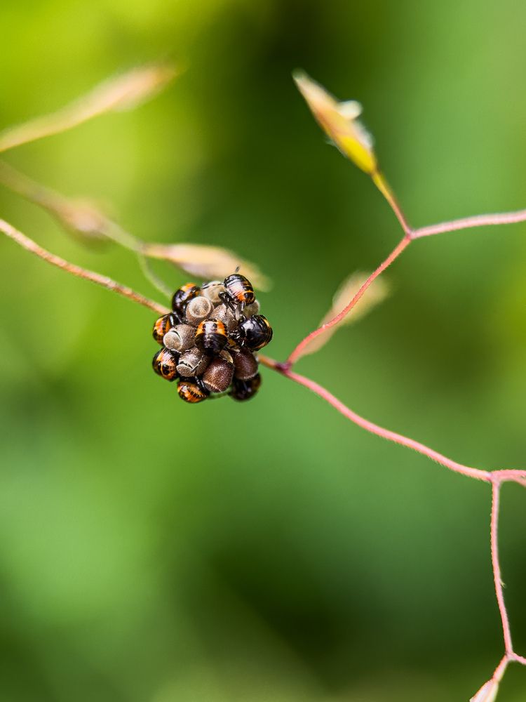 Фотография автора Анна Рыжикова
