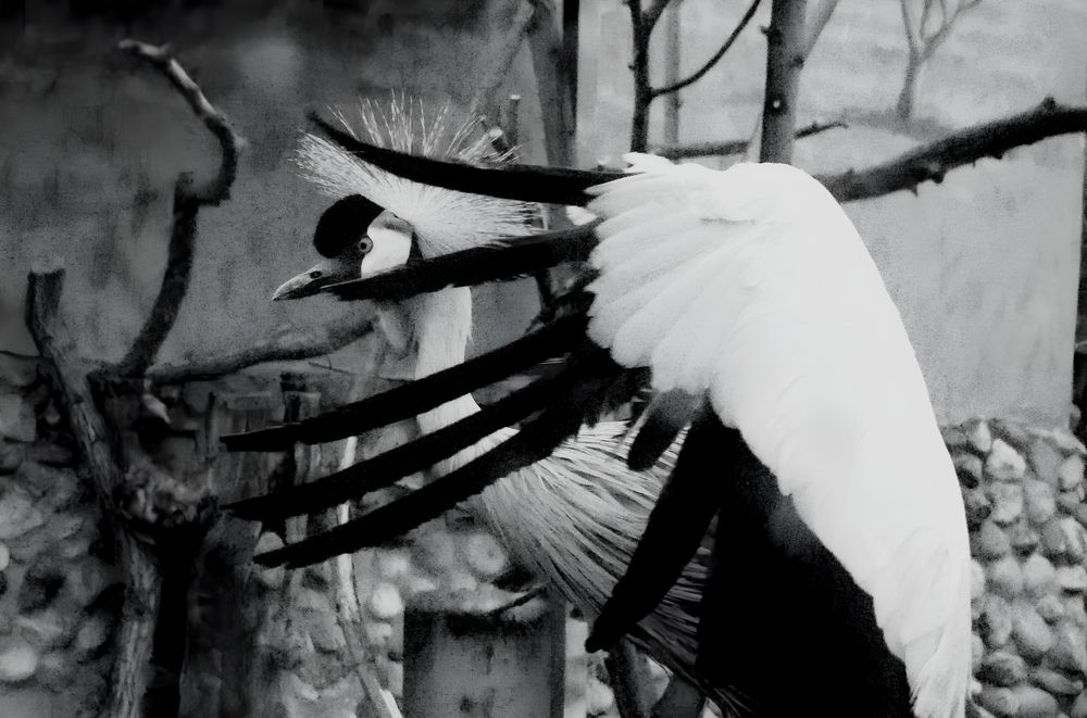 Photograph by Илюшечкина Екатерина