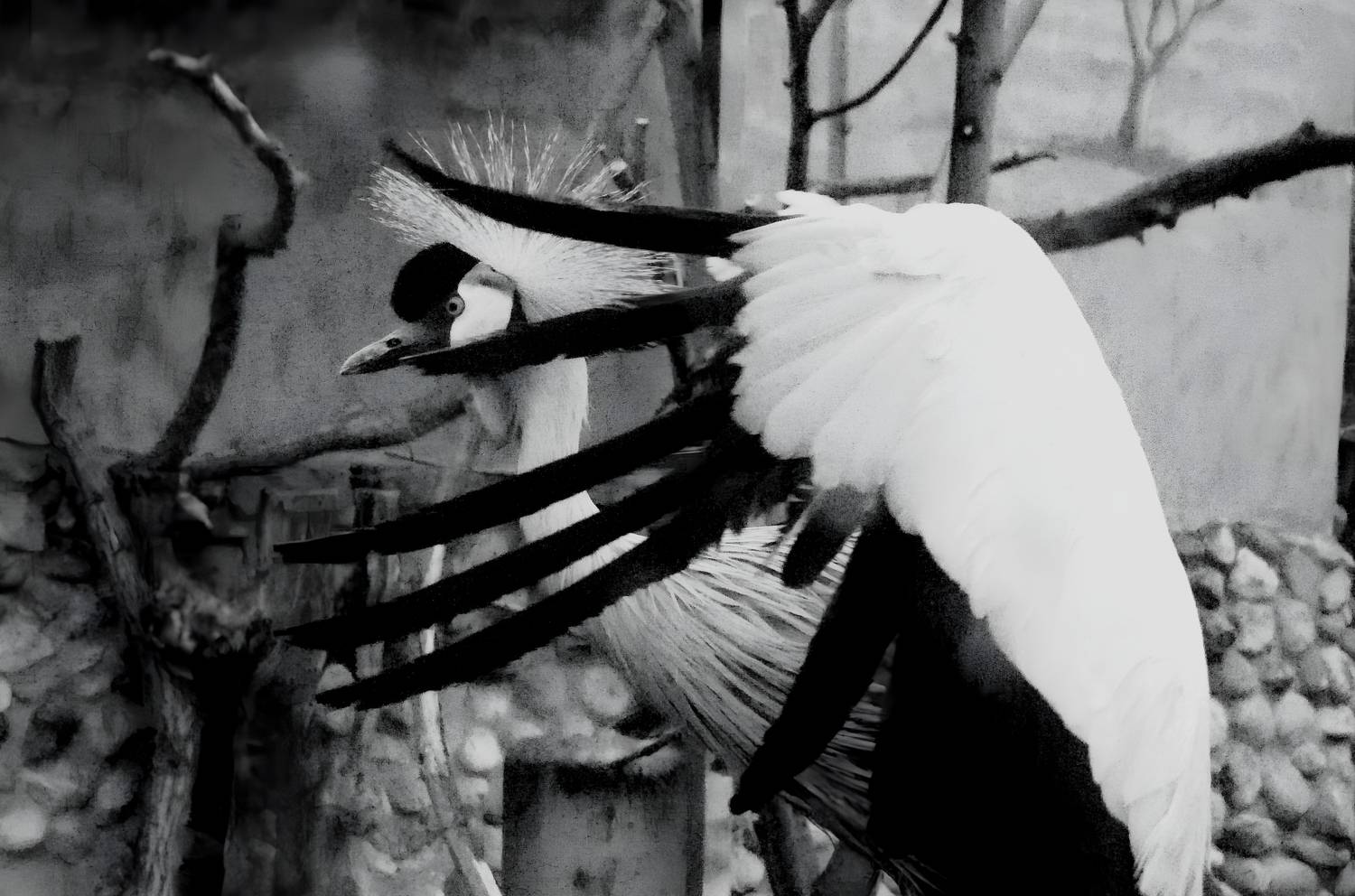 Фотография #12398548