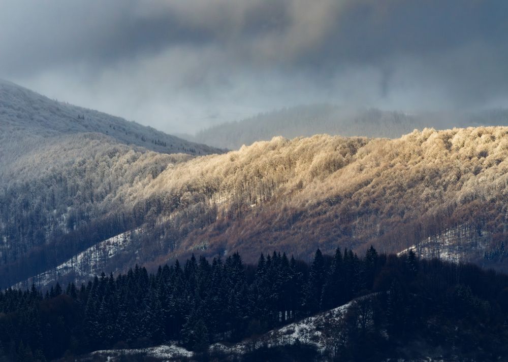 Photograph by Lamba-Benegui Alexandru