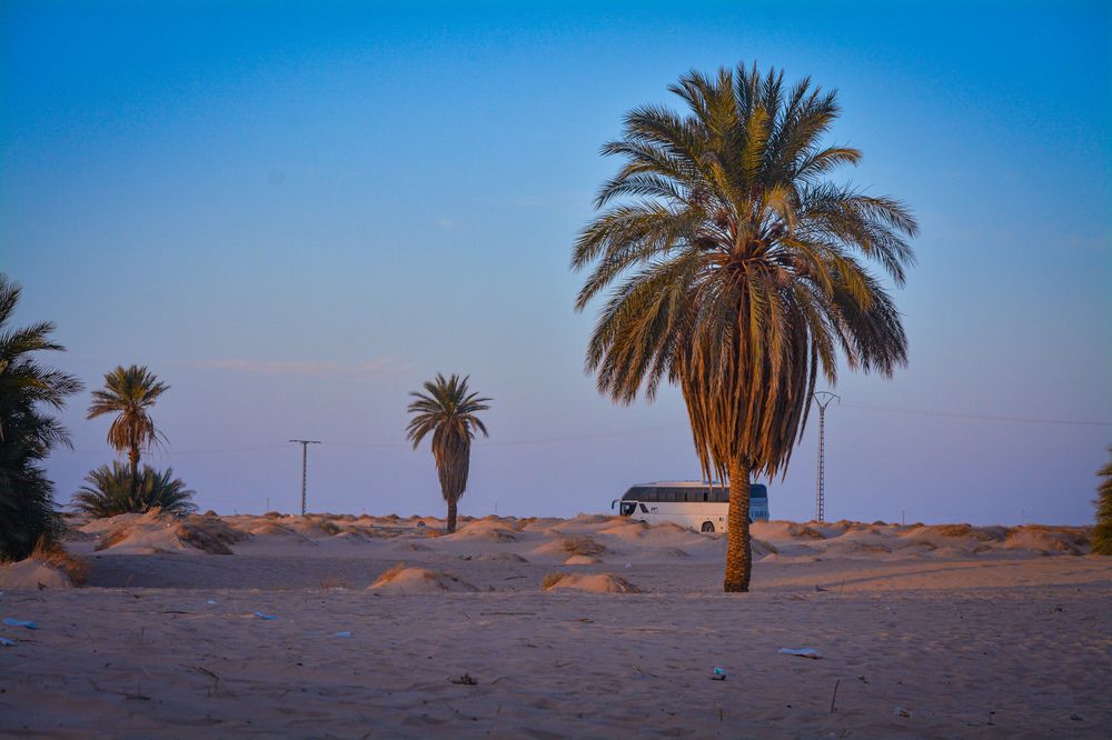 ثراث الفروسية