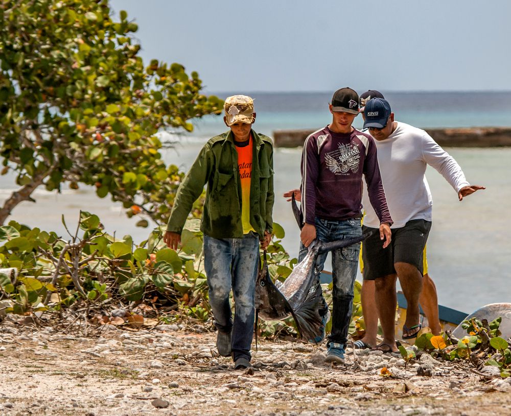 Фотография автора Chorche Prigo