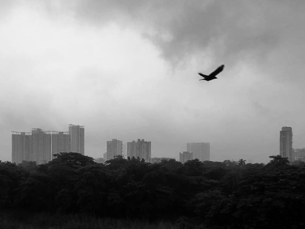 Photograph by Aritra Mondal