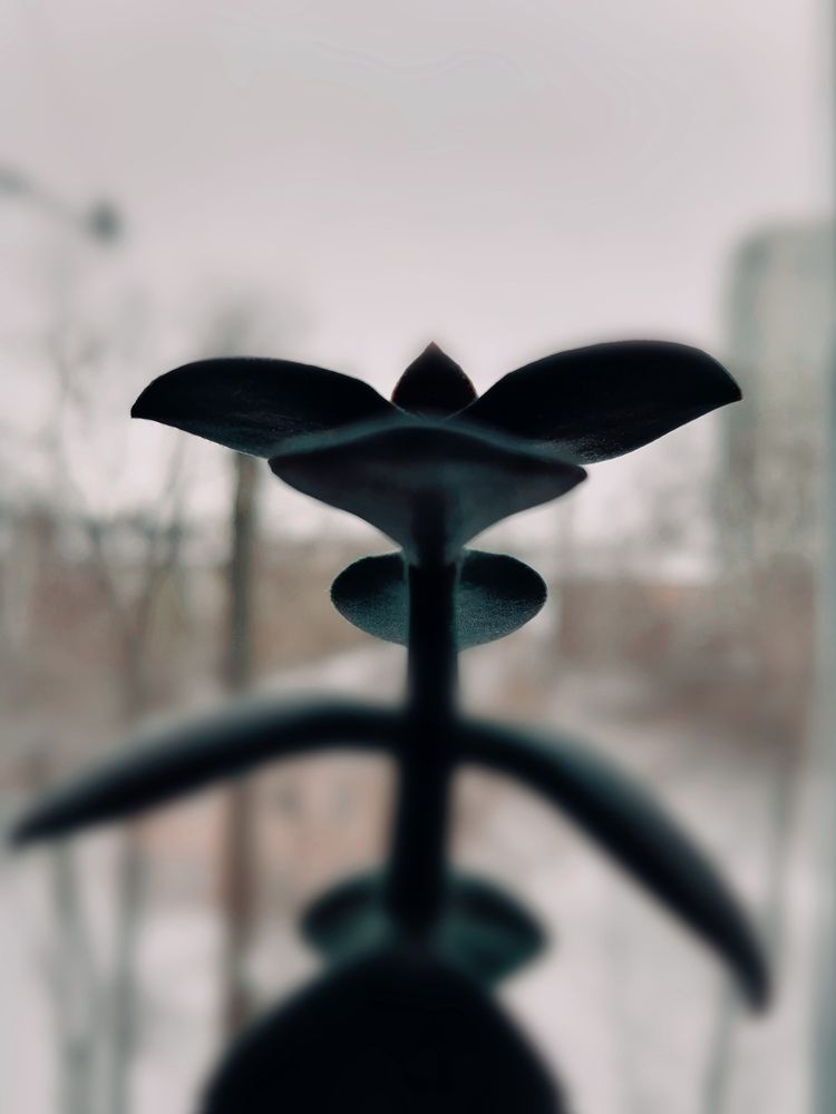 Photograph by Алексей Титков