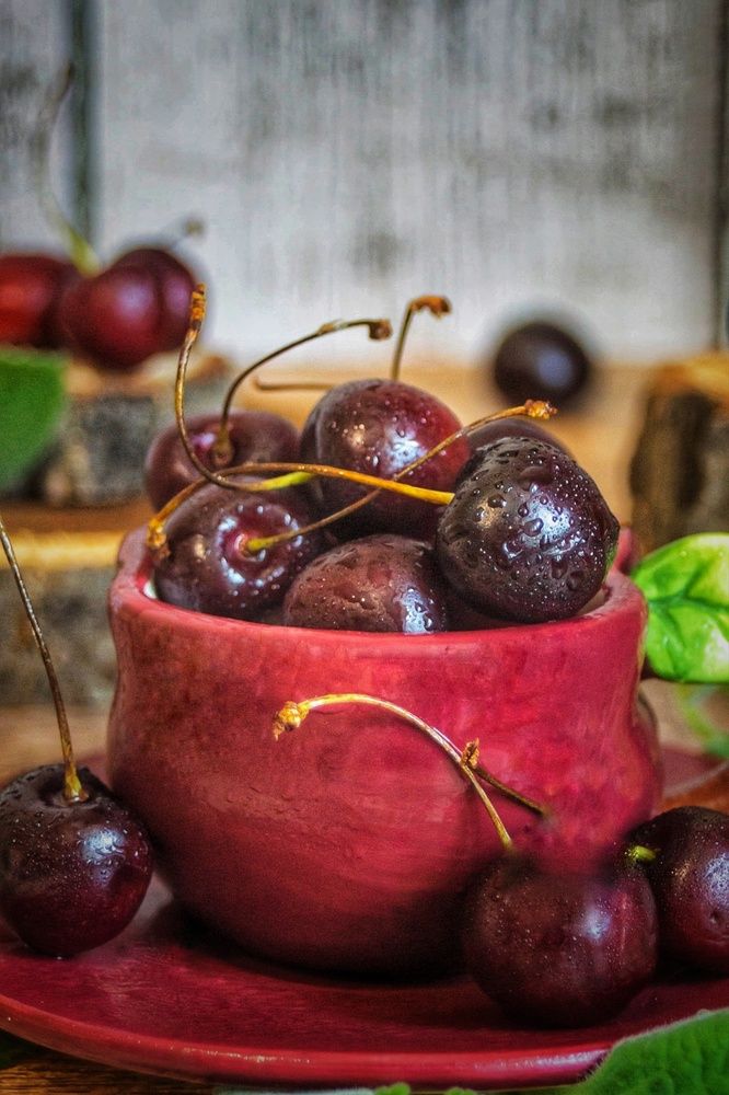 Фотография автора НАТАЛЬЯ СЕВЕР