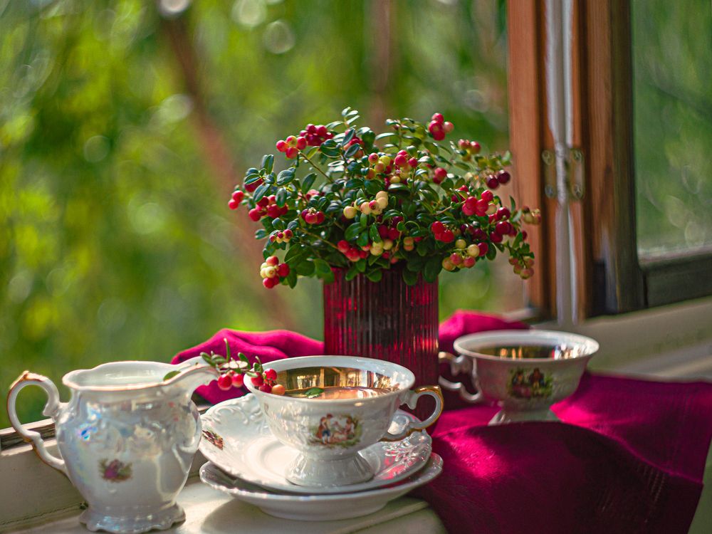 Фотография автора Елена Разина