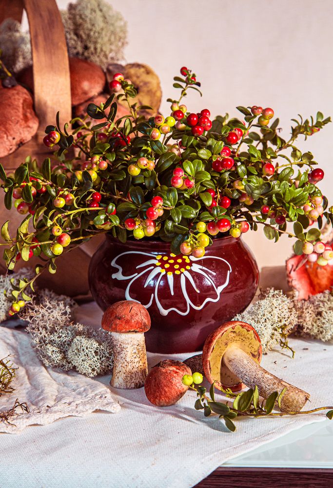 Фотография автора Елена Разина