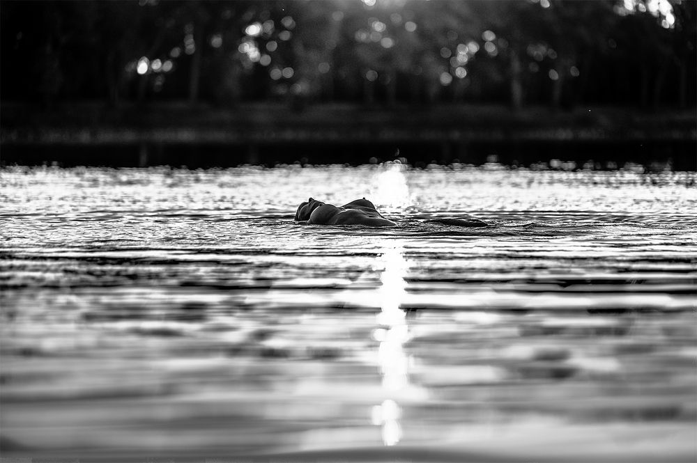 Фотография автора DanPav