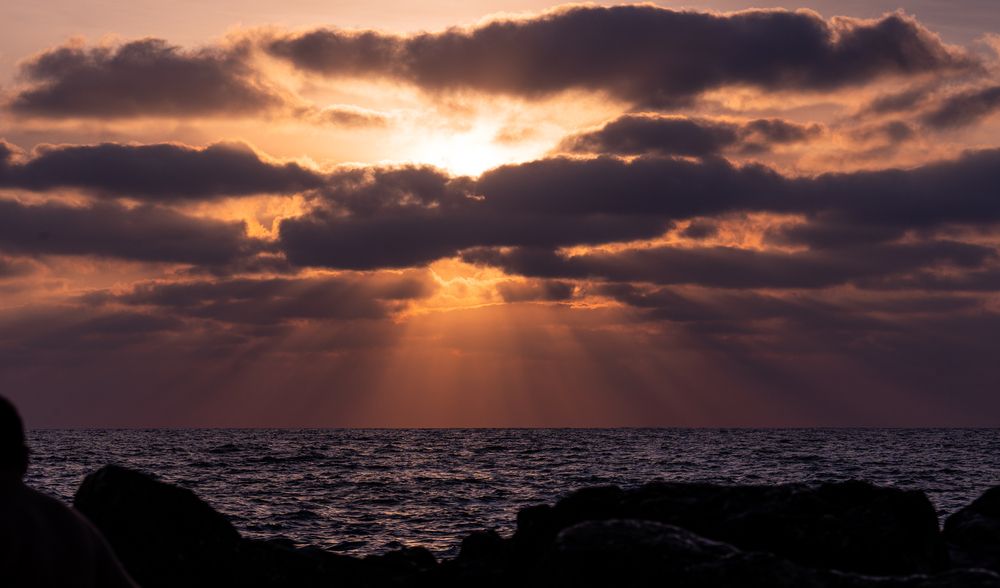 Photograph by Igor Shulkin