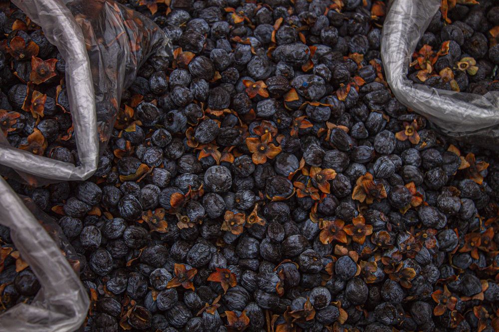 Photograph by Елена Ковальчук