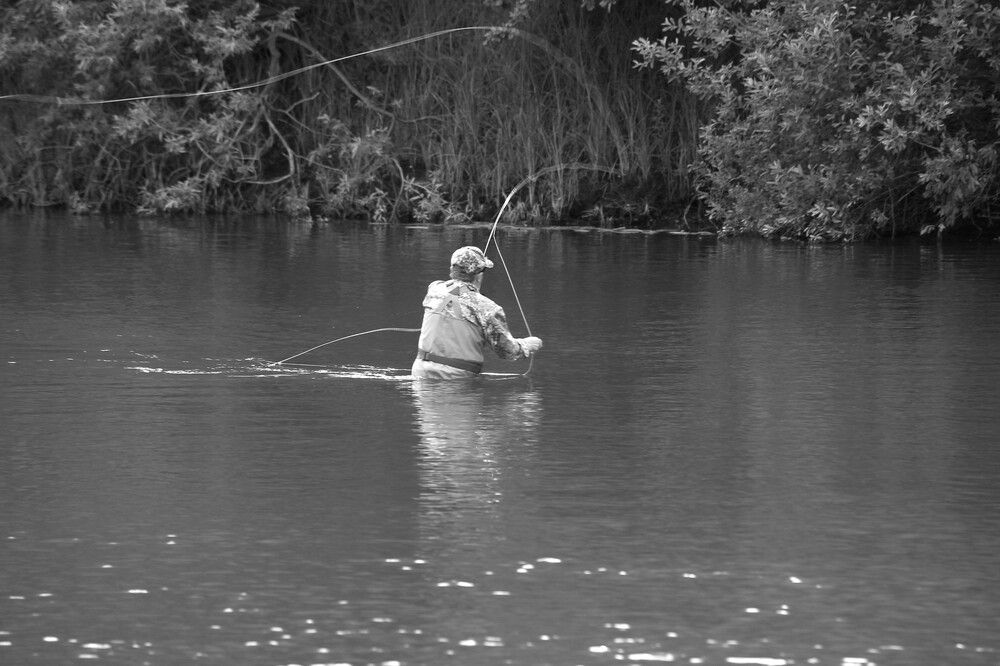 Фотография автора Геннадий Титов