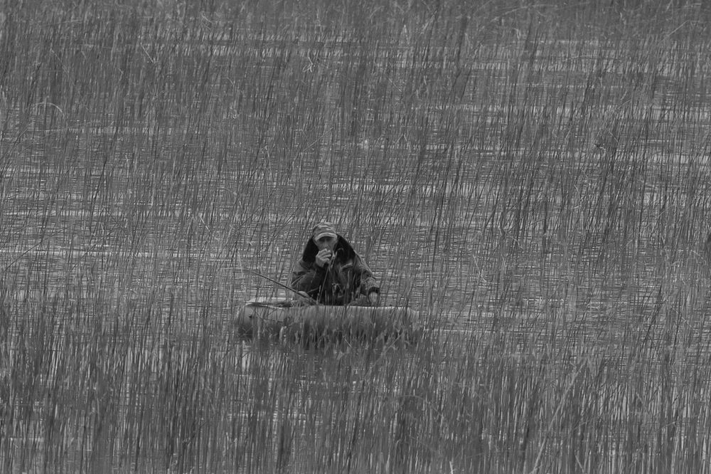 Photograph by Дмитрий Щепанов